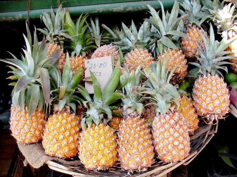 Ananas victoria