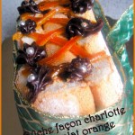 Buche de noel chocolat orange facon charlotte sans cuisson