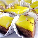 gateau-sans-cuisson-001-copie-1