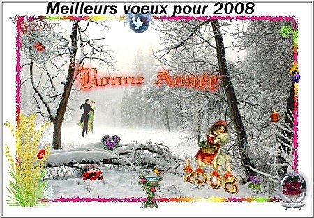 voeux_2008_snowy