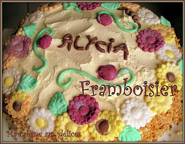 Gateau d'anniversaire d'Alycia framboisier