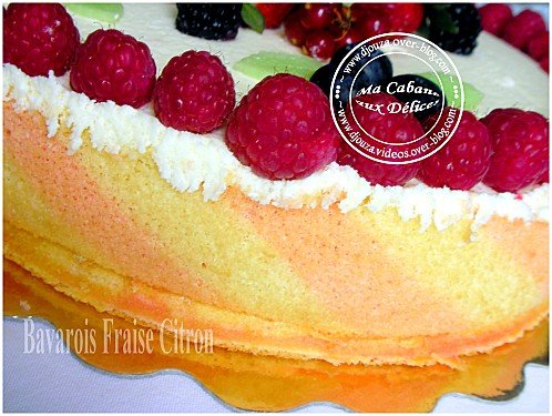 Gâteau bavarois 012