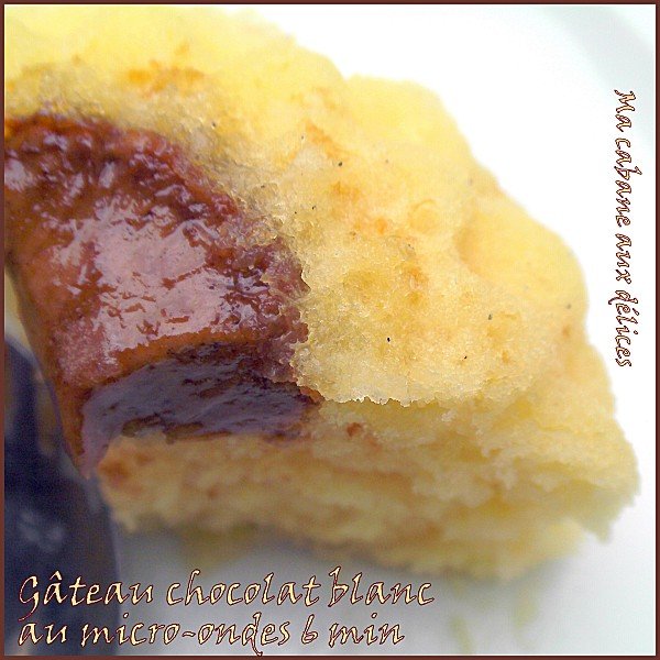 Gateau chocolat blanc micro ondes photo 4