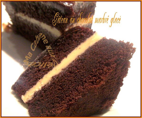 Gâteau chocolat marbré glacé 040