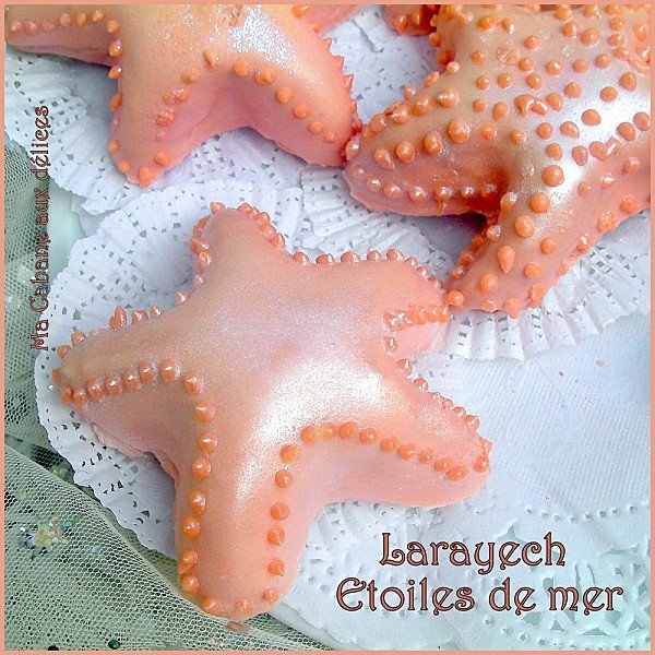 Larayech etoiles de mer photo 2