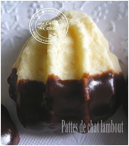 Pattes de Chat, Biscuit Sec ou Gateau Lambout