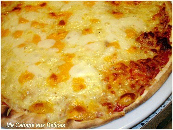 pizza au fromage sur pain naan