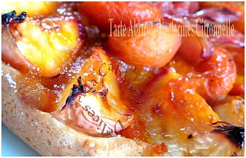 Tartes abricots nectarines 007