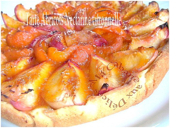 Tartes abricots nectarines 011