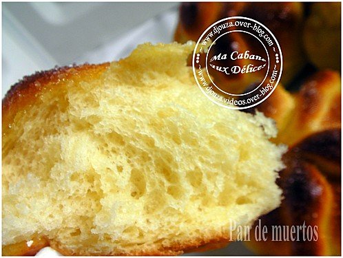 brioche mexicaine 038