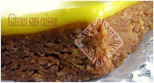 gateau sans cuisson 003