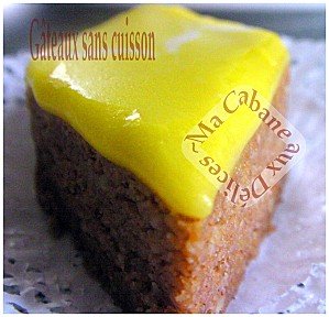 gateau sans cuisson 004