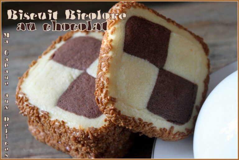 Biscuit bicolore chocolat damier