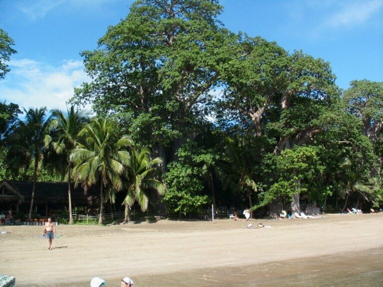 L'île de Mayotte