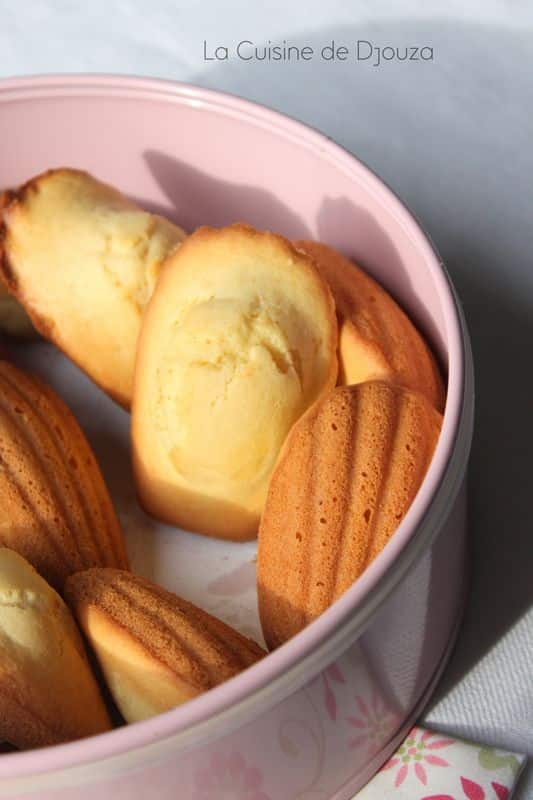 recette madeleine