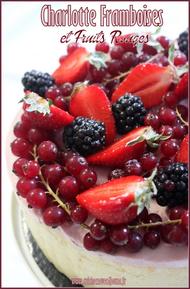 entremet bavarois aux fruits rouges frais