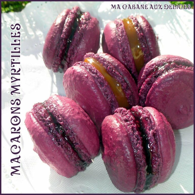 macaron myrtilles