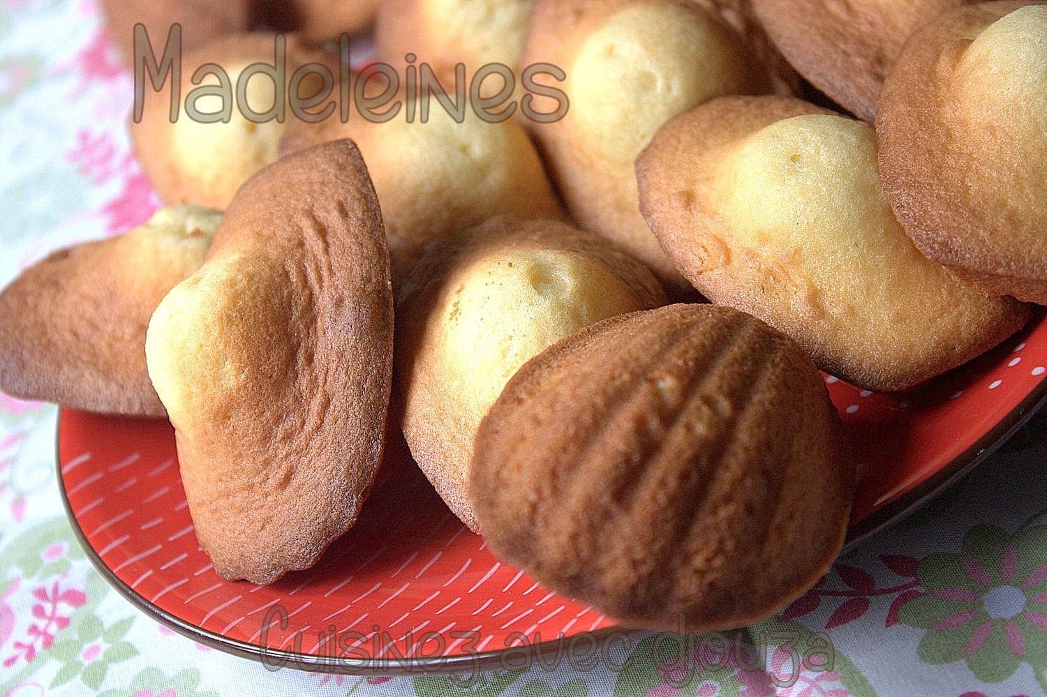 Madeleines natures de commercy