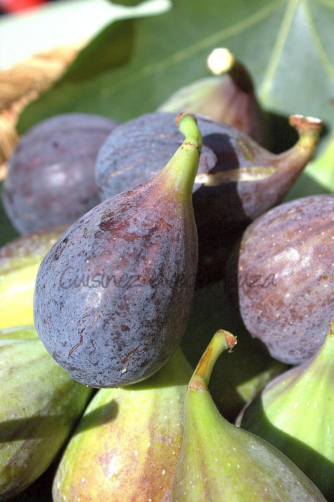 figues ramassées de septembre