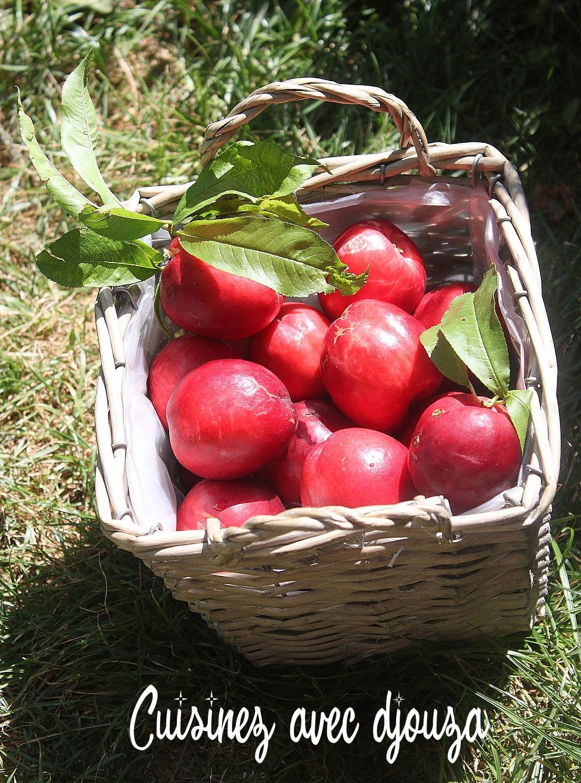 cueillettes des fruits du jardin