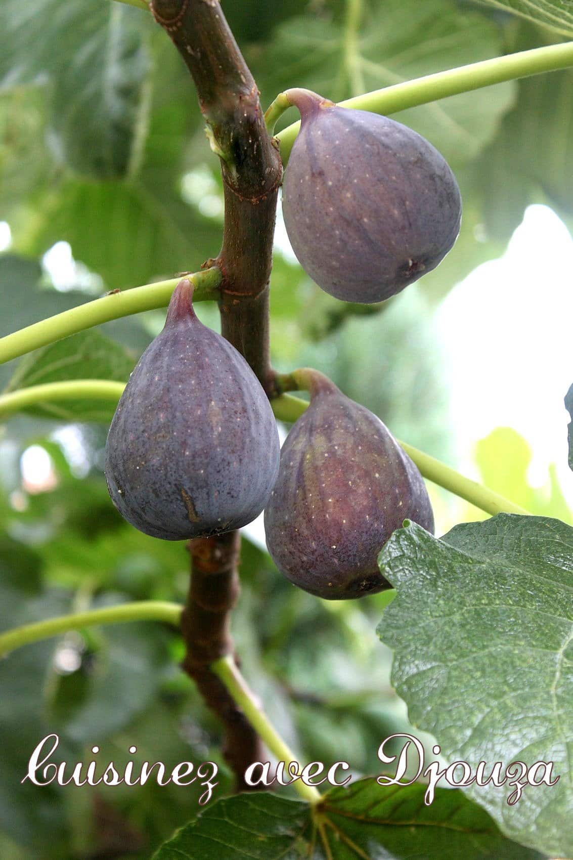 Tarte aux figues violettes