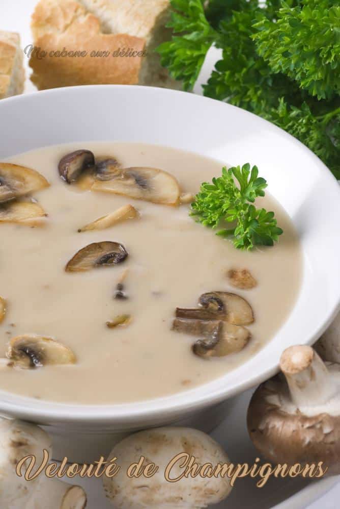 Velouté de champignons de paris