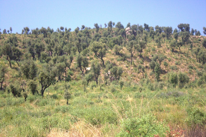 toujda kabylie photo 2