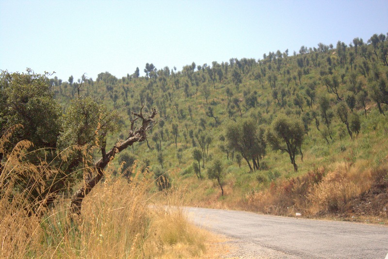 toujda kabylie photo 3