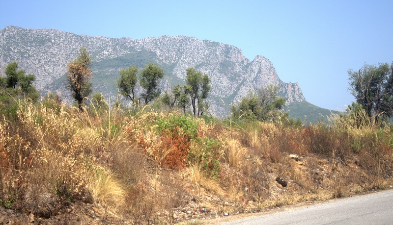 toujda kabylie photo 4