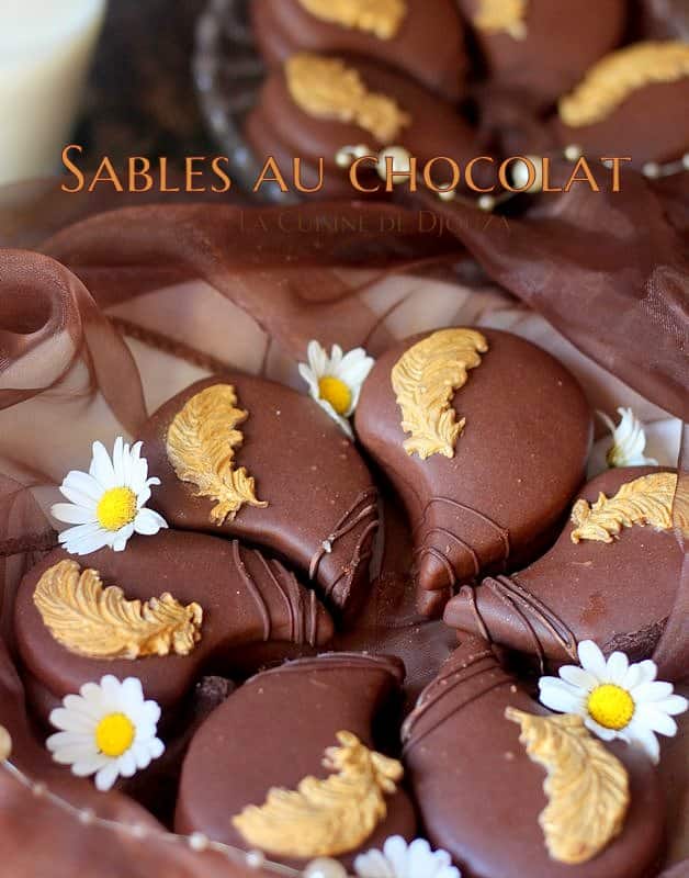 biscuits gourmands au chocolat