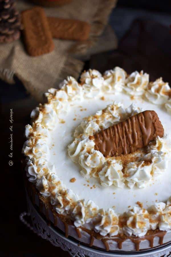 Gâteau cheesecake sans cuisson facile