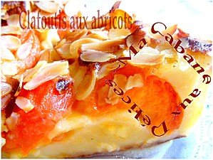 Clafoutis aux abricots 014