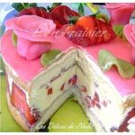 Fraisier de Nadia 3