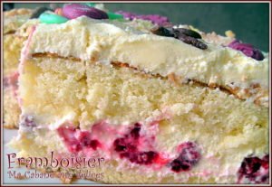 Gâteau d'anniversaire d'Alycia framboisier
