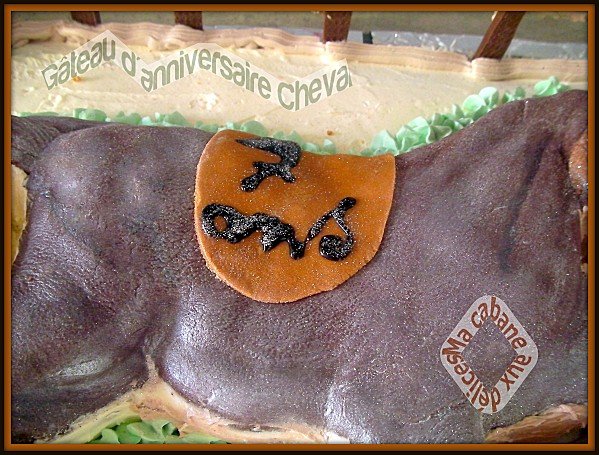 Gâteau d'anniversaire cheval 009-1