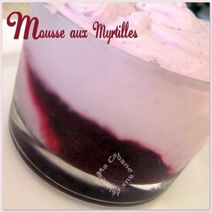 Mousse aux myrtilles photo 2