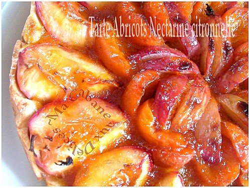Tartes abricots nectarines 009