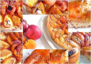 tartes abricots nectarine montage