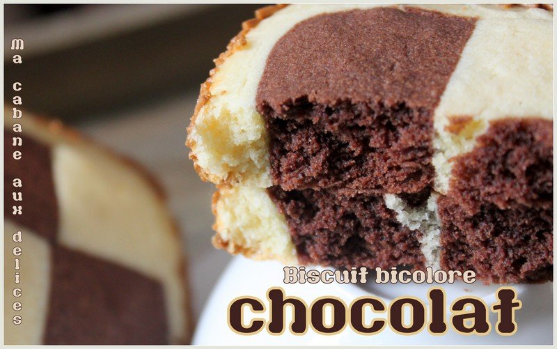 Biscuit bicolore chocolat damier