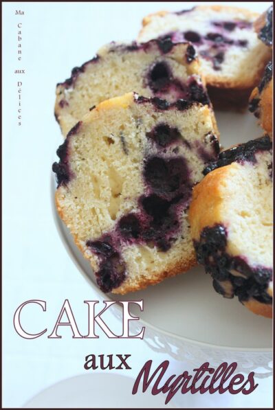 Cake aux myrtilles sauvages {Gâteau de voyage facile}