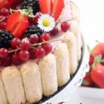 Charlotte à la mousse bavaroise aux fruits rouges et framboises