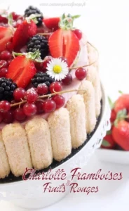 Charlotte à la mousse bavaroise aux fruits rouges et framboises