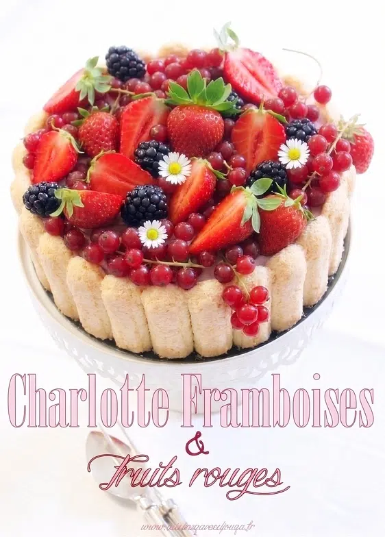 Entremets charlotte aux fruits rouges maison avec biscuit cuillère