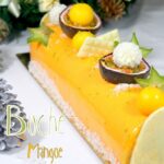Buche de noel facile glaçage miroir