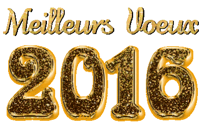 nouvelle année 2016 voeux
