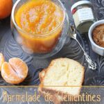 Marmelade ou confiture de clémentines