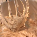 Recette de la ganache chocolat au lait
