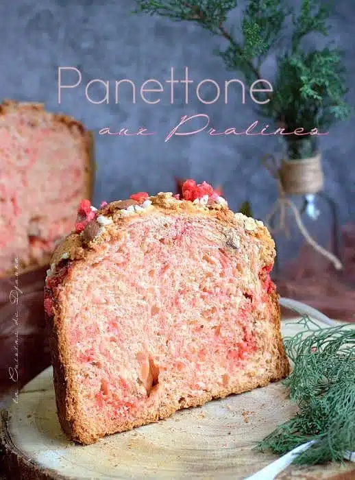 Panettone Au Levain Vraie Recette Italienne Brioche Super Moelleuse