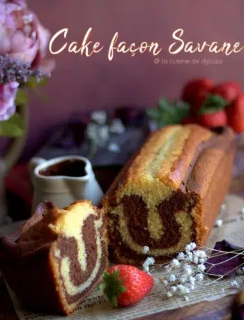 veritable cake marbré façon savane au chocolat