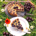 Millard Auvergnat : la Vraie Recette du Clafoutis aux Cerises Noires